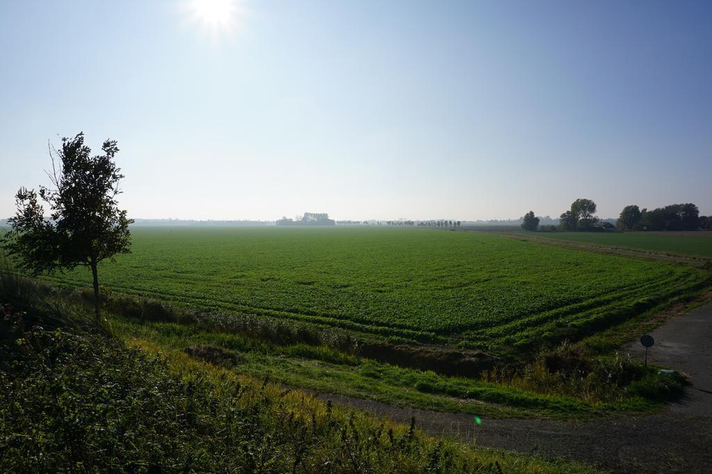 Herberg De Ring Dreischor Екстер'єр фото